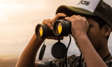 See Clearly with the Best 10×42 HD Binoculars
