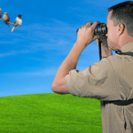 The Best Binocular Harness for Birding and Hunting